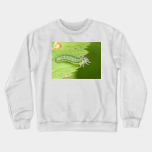 Sawfly larva, possibly Cimbicidae Crewneck Sweatshirt